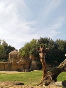 When is the best weather in Spain? What month has the best weather in Spain?