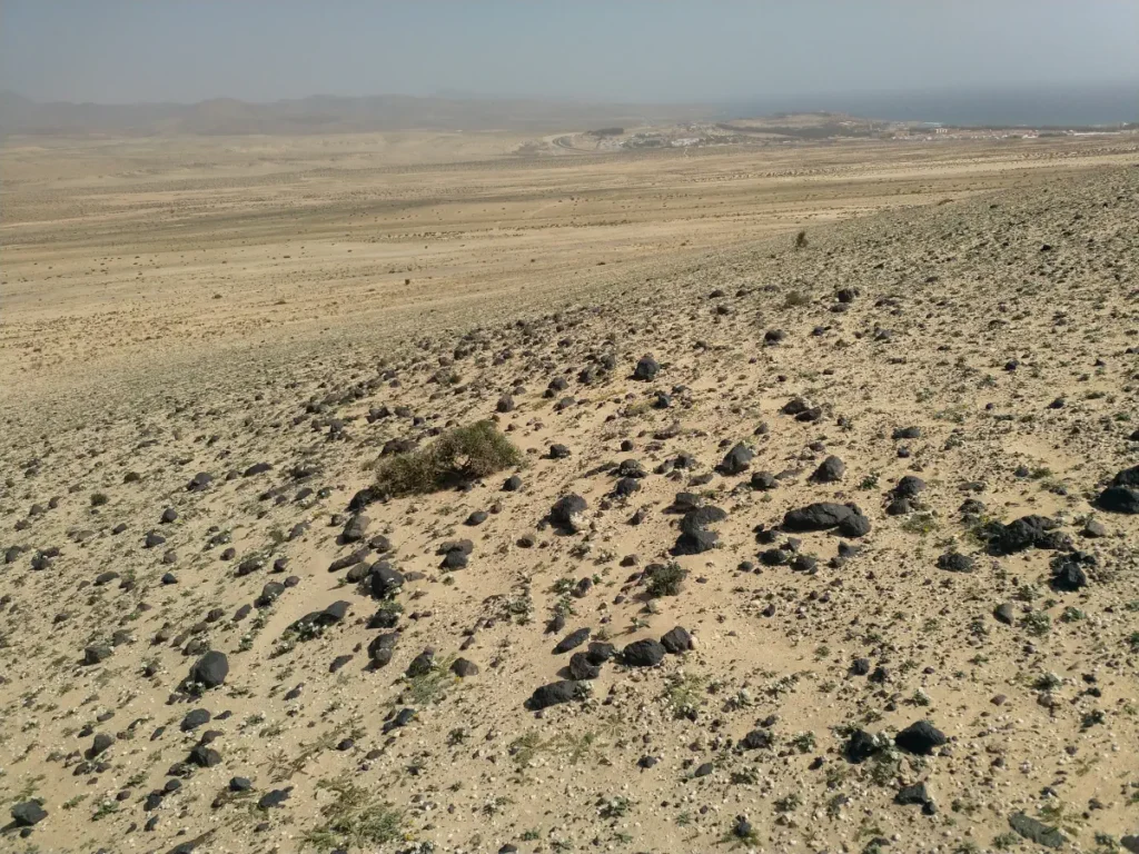 a desert in fuerteventura