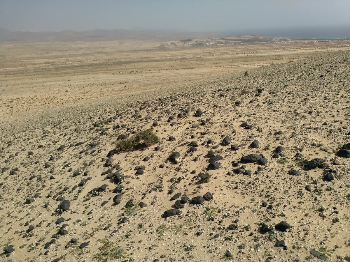 fuerteventura desert