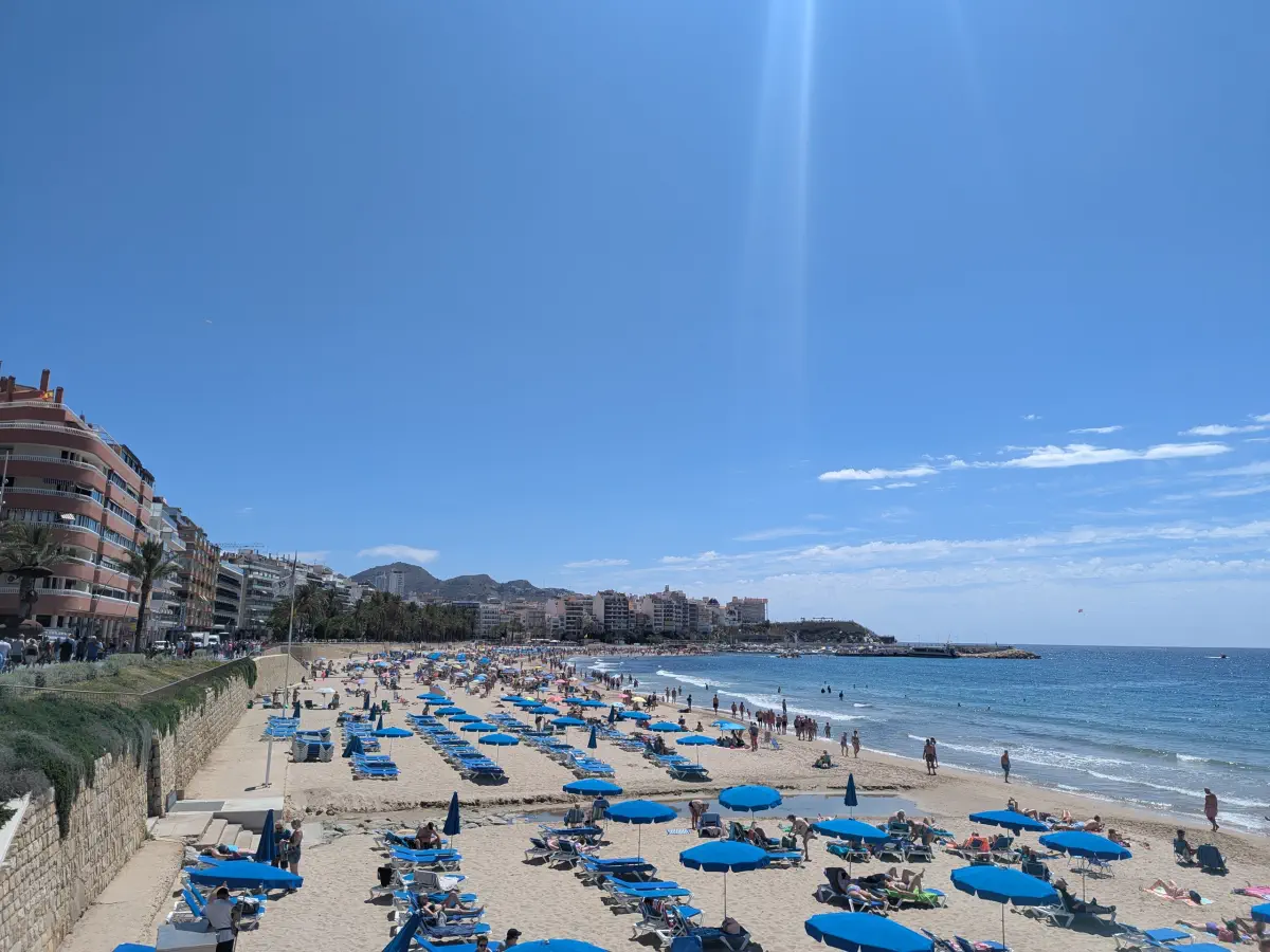 playa poniente full of sun lounges facing balcon mediterraneo in benidorm