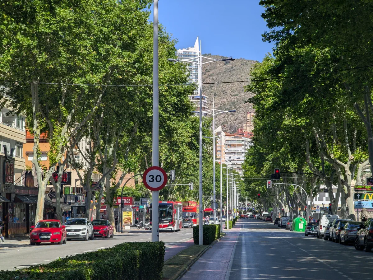 a tree lined street in benidorm